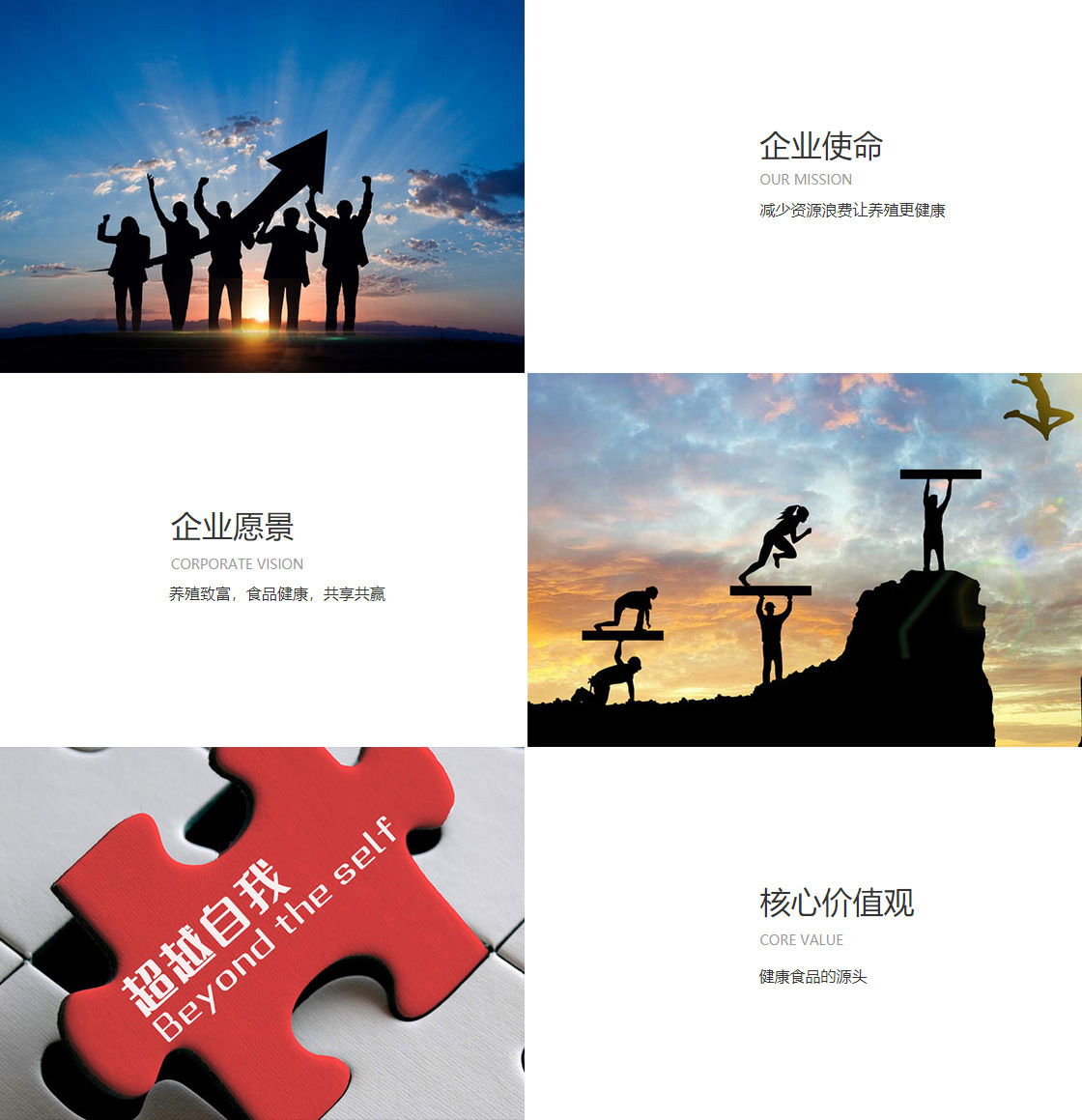 www.kaiyunsports(图1)